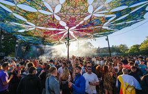 Into the Woods Festival
